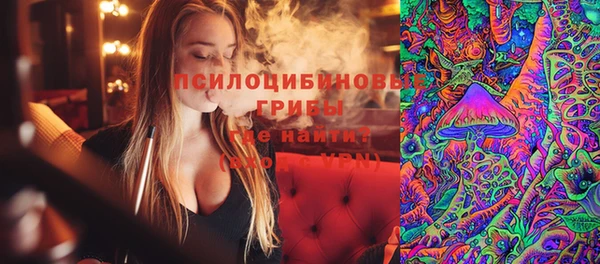 гашик Алексеевка