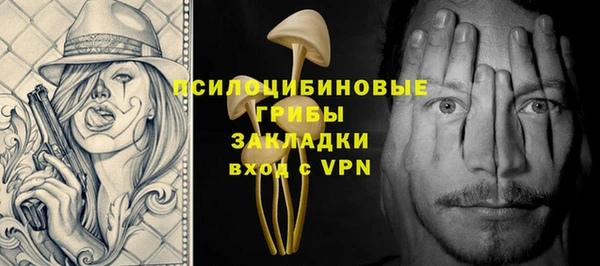 гашик Алексеевка