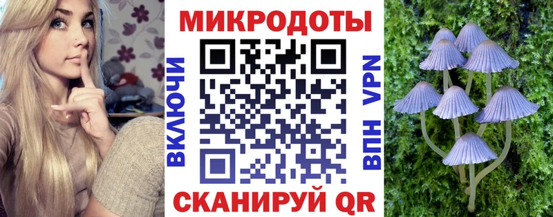 Псилоцибиновые грибы ЛСД  blacksprut ссылка  Кочубеевское 